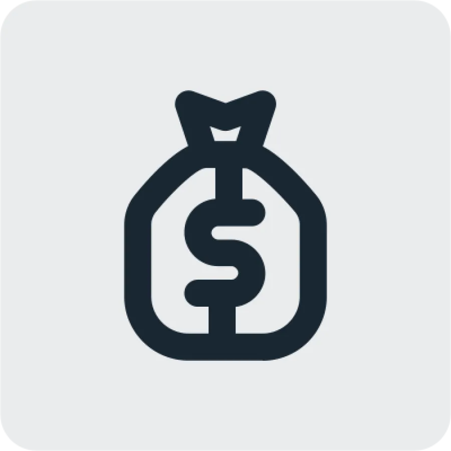 dollar bag